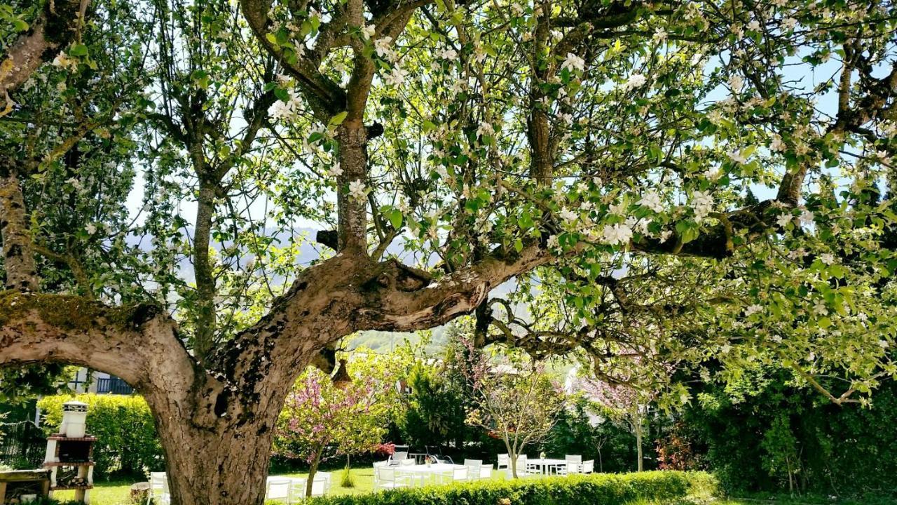 Errotazar Apartamento M Alsasua Esterno foto